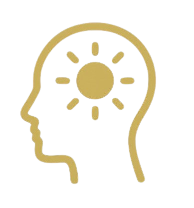 Ícone Desenvolvimento